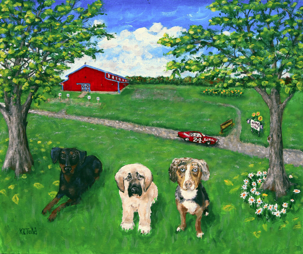 Dogs in the Country