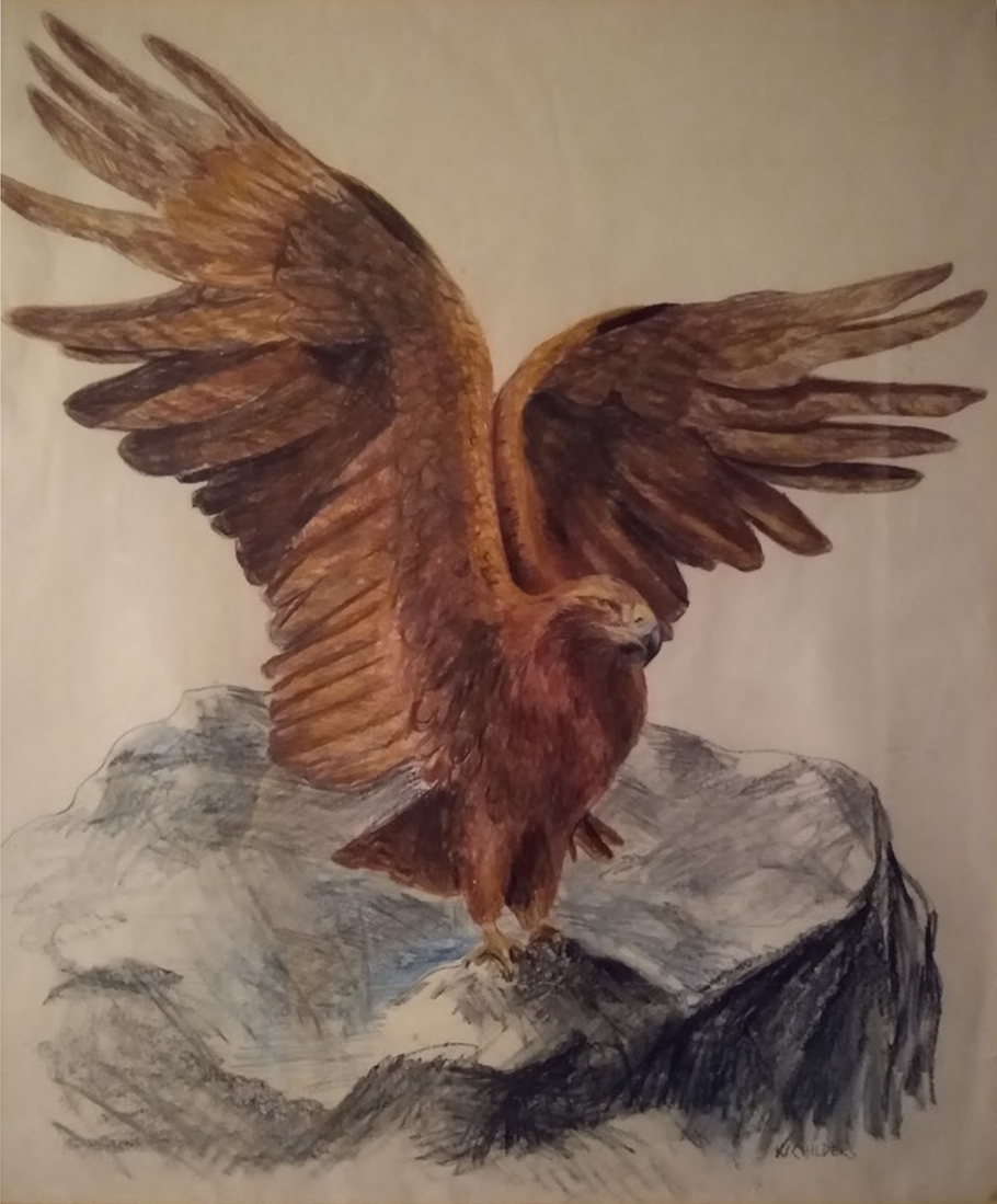 Golden Eagle
