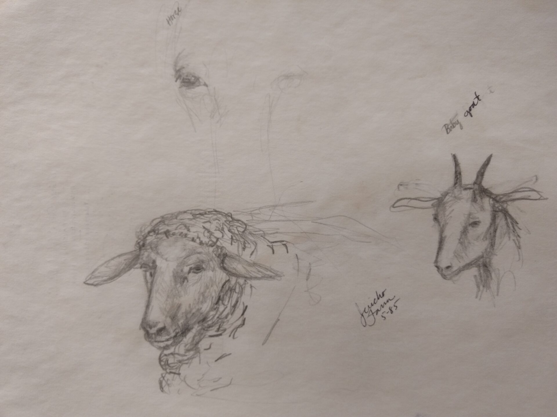 Jericho Farm Sketches